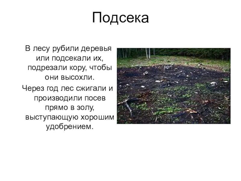 Система земледелия у древних славян. Подсечно-огневая система земледелия это в истории. Подсечное земледелие восточных славян. Древняя система земледелия основанная на выжигании леса. Подсечно огневая система земледелия у восточных славян.