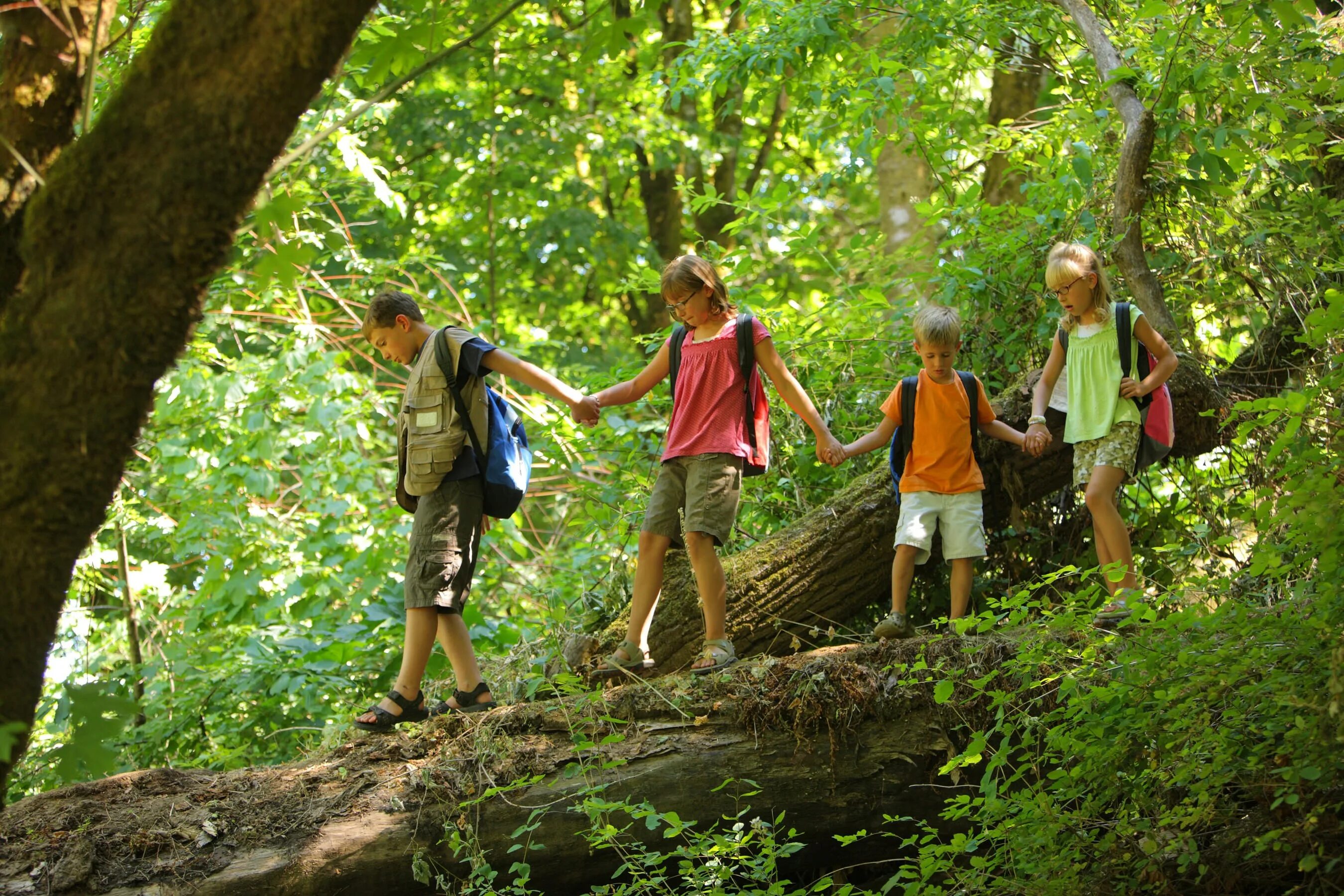 Stay in a camp. Экскурсия в лес. Поход в лес с детьми. Прогулки в лесу с детьми. Экскурсия на природу.