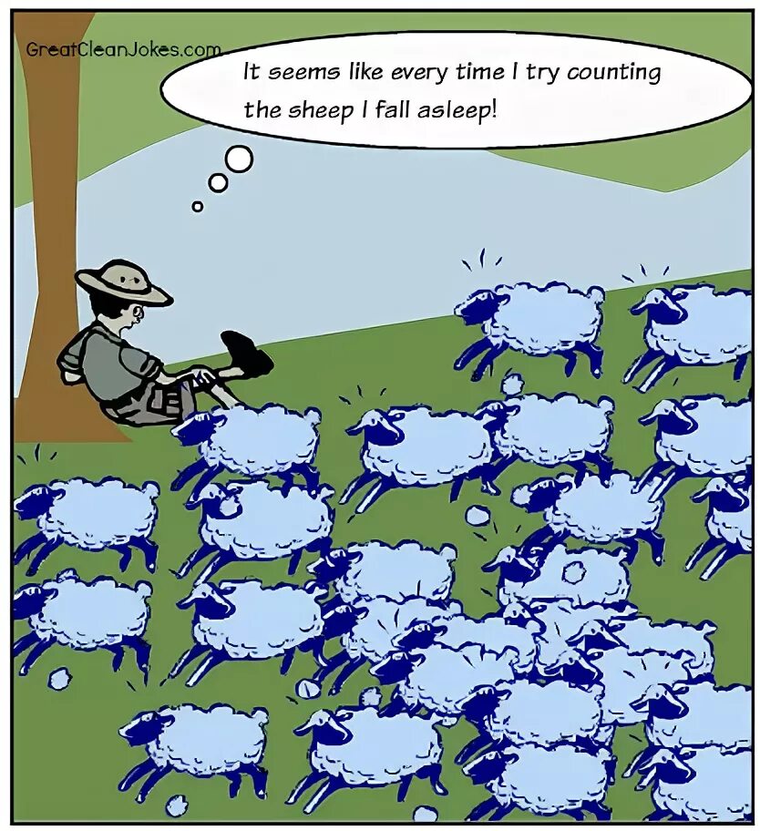 Great jokes. Joke Sheep. Counting Sheep. Подойди к Star Sheep. Insomnia jokes.