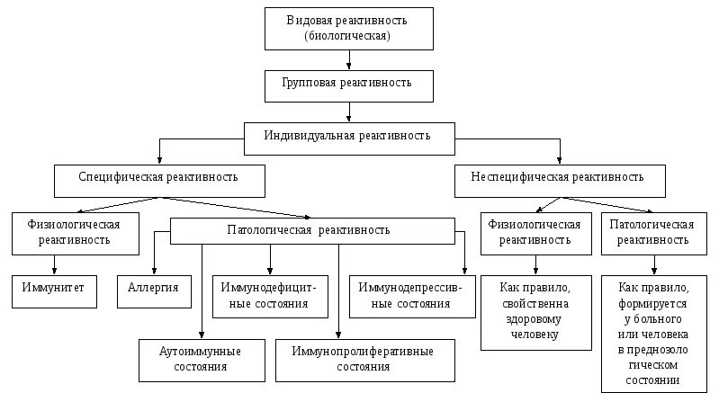 Специфическая резистентность. Виды реактивности патофизиология. Классификация реактивности. Реактивность виды реактивности патофизиология. Формы патологической реактивности схема.