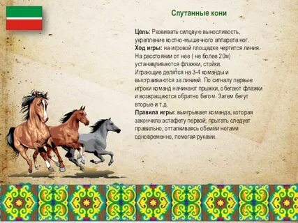 Народная команда кони