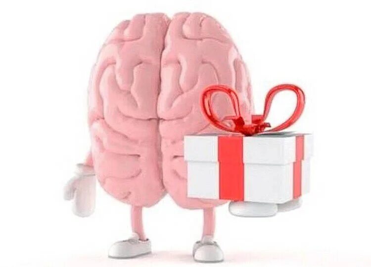 мозг в подарок. мозги в подарочной коробке. мозг в подарочной упаковке. мозги в коробке. мозги в коробке.