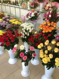 Букеты астрахань