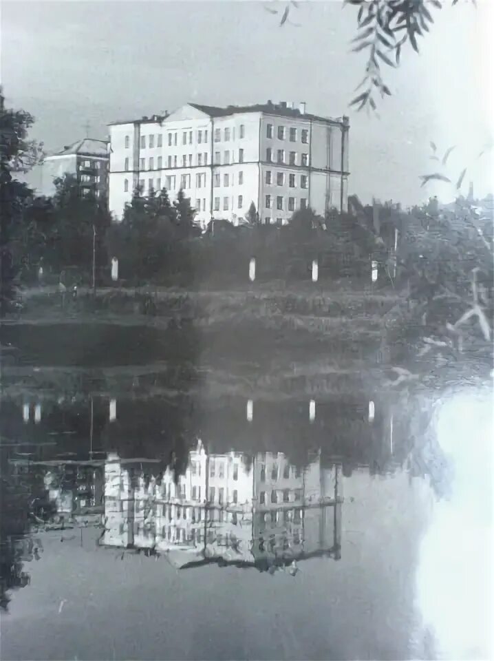 Лицей 4 чехов. Лицей 4 чехов директор. Лицей 4 чехов. Лицей номер 4 город чехов. Лицей 4 чехов.