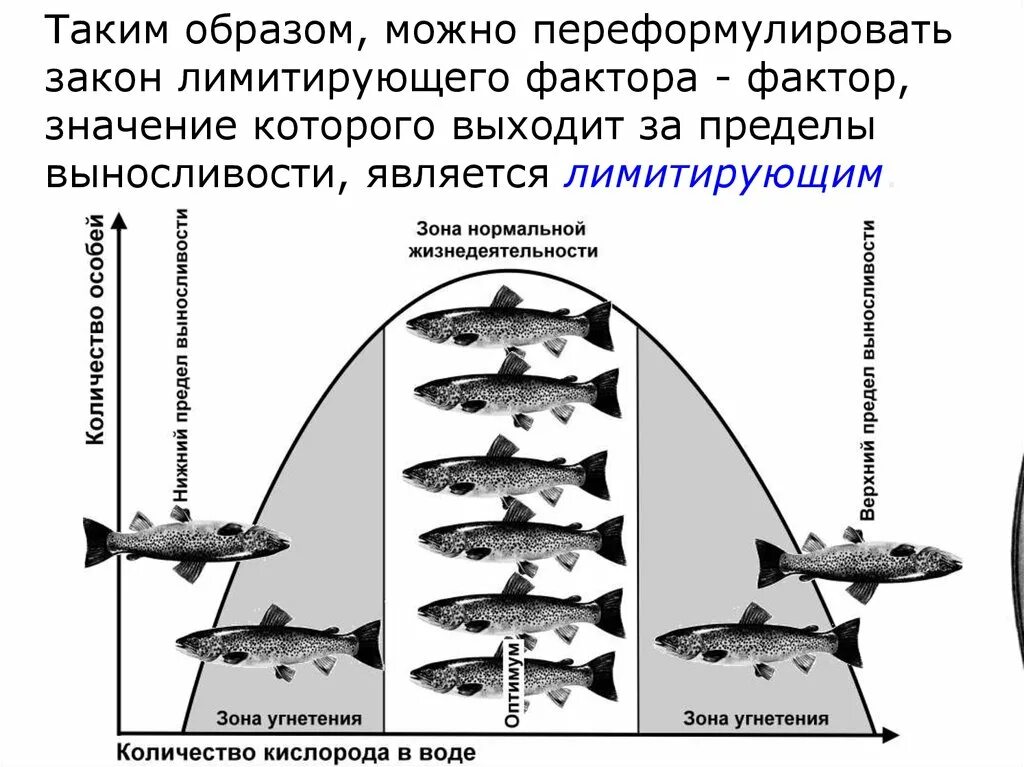 Ограничивающим фактором называется фактор. Закон лимитирующего фактора в экологии. закон ограничивающего фактора схема. действие фактора схема. лимитирующий фактор это в экологии.