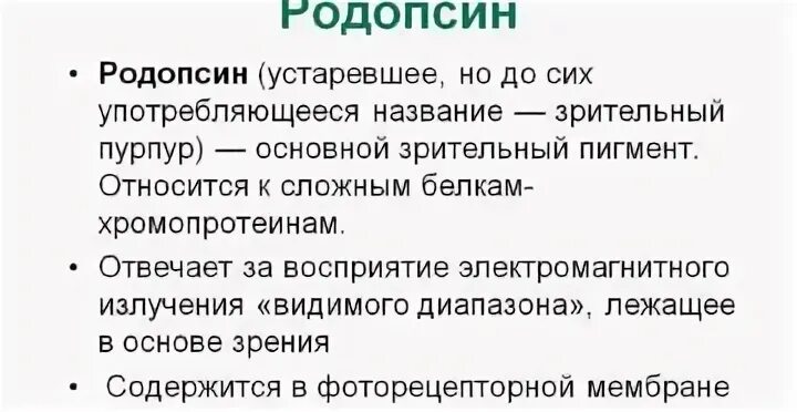 Содержат пигмент родопсин. Родопсин функции. Пигмент родопсин. Белок родопсин функция. Биологическая роль родопсина.