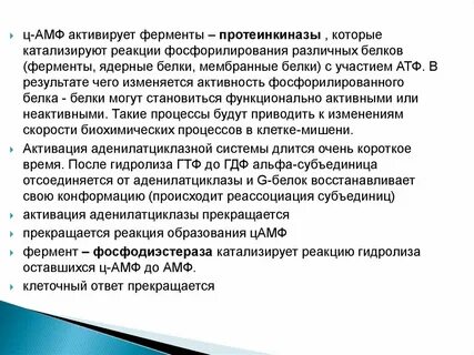 Фосфорилирование протеинкиназ