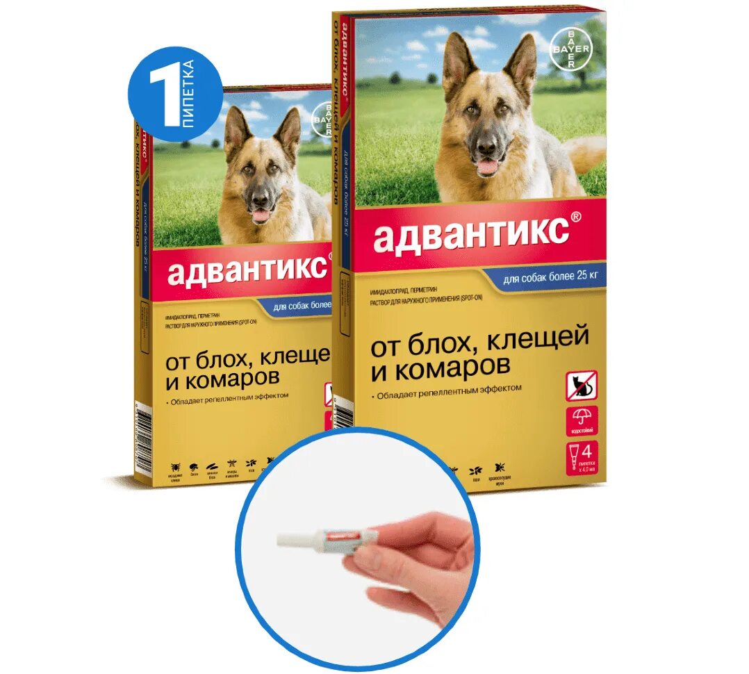 Что дать щенку от клещей