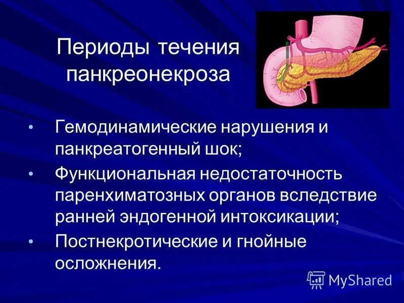 Панкреатит лекция. Периоды течения панкреонекроза. Осложнения панкреонекроза. Симптомы панкреонекроза. Панкреатогенный ШОК.