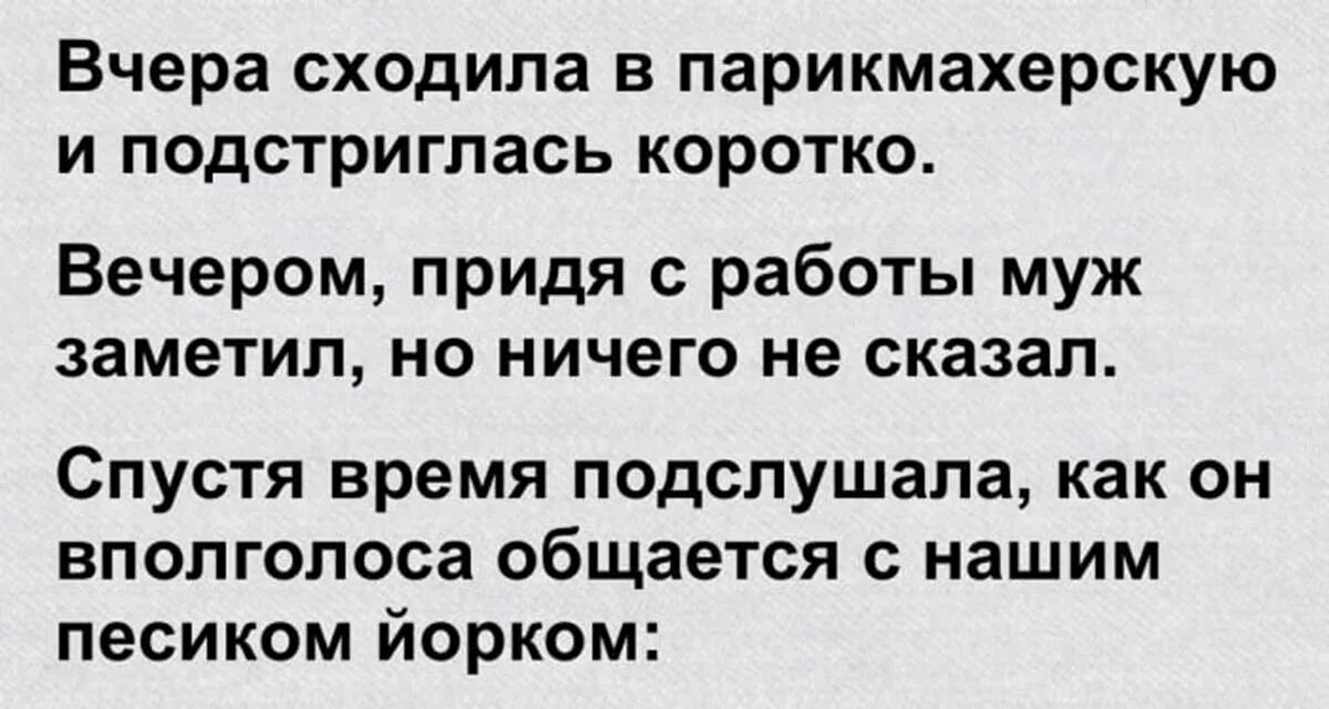 Короткие рассказы жизненные истории. Смешные истории из реальной жизни. Смешные истории из жизни людей короткие. Рассказы короткие интересные и смешные. Весёлые истории из жизни людей.