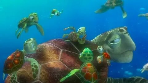 Слушать песню морская черепашка