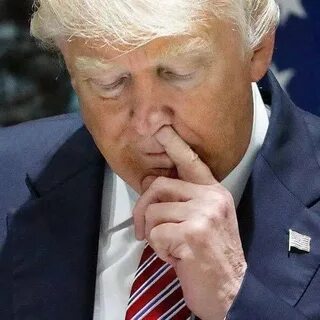 Trump meme