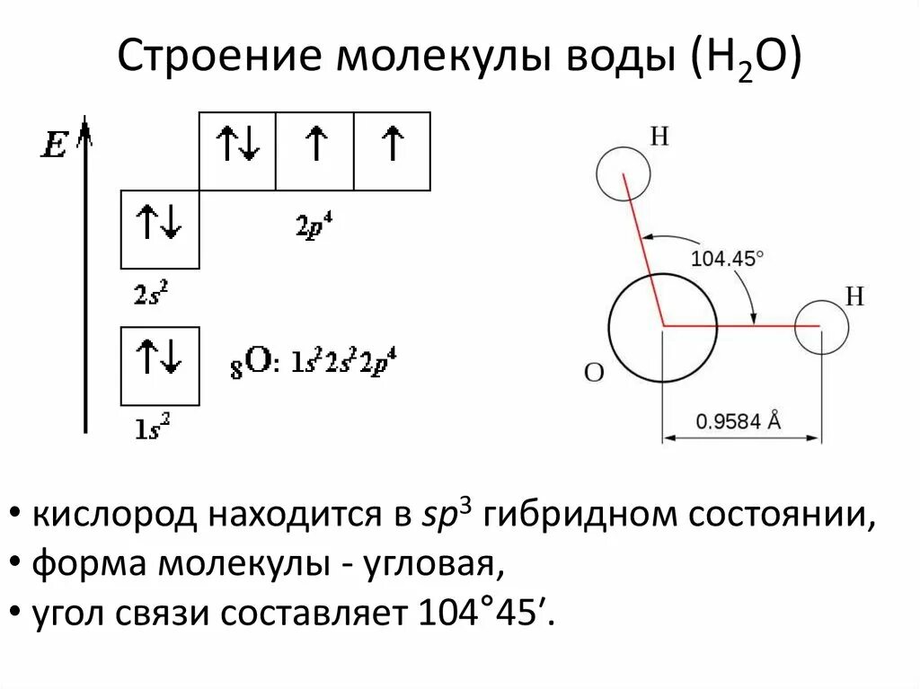 Гибридизация воды sp3. Sp3 гибридизация воды. Sp3 гибридизация в молекуле воды. Строение молекулы воды гибридизация. Sp3 гибридизация кислорода.