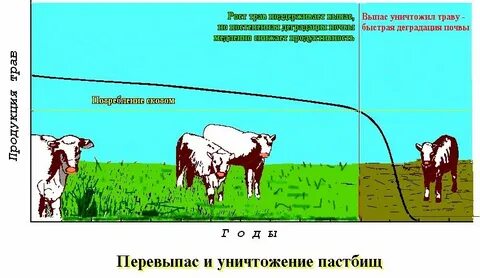 Осенью скот жиреет а человек добреет