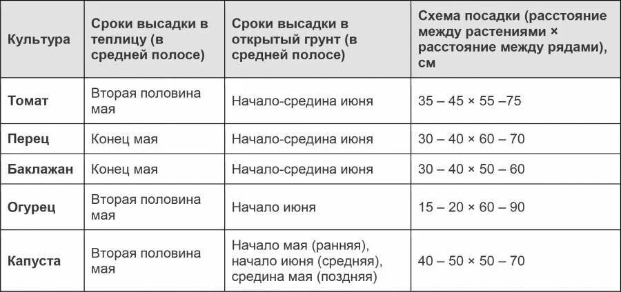Какое расстояние должно быть между перцами
