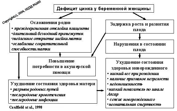 Признаки недостатка цинка в организме. Признаки недостатка цинка в организме