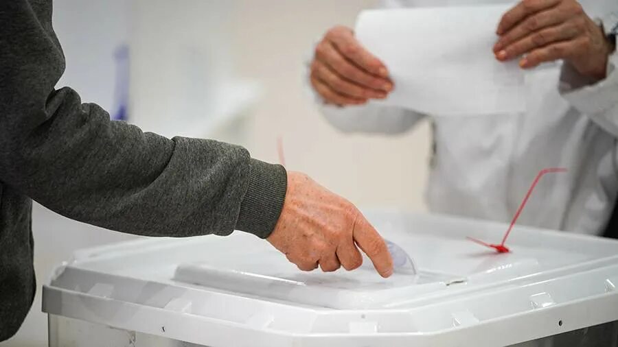 вциом выборы 2024