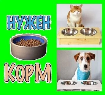 Нужен корм собакам