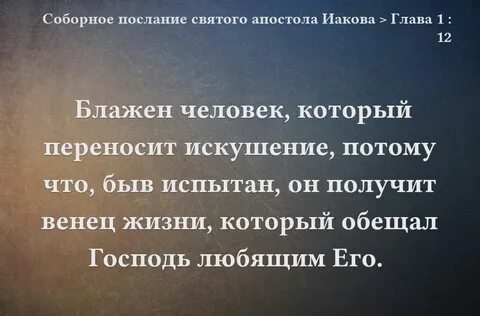 1 глава к ефесянам
