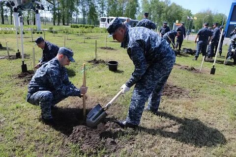 Обстрел грайворона сегодня белгородская область последние новости
