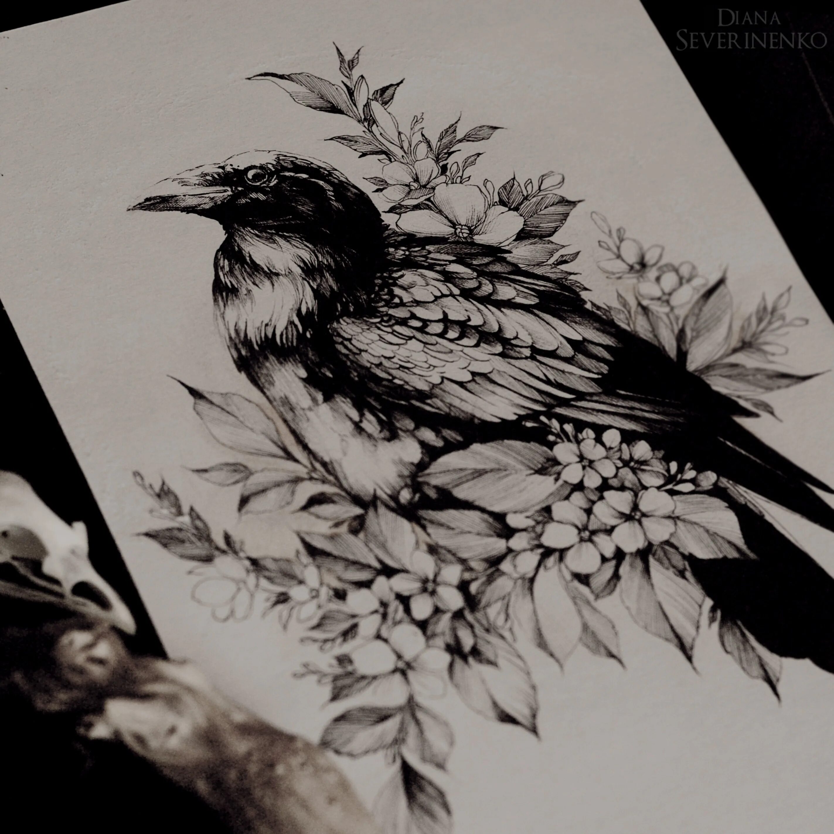 Ворон в цветах. Ворон в цветах. Флора и фауна японии. Розовая ворона. Вороны hd.