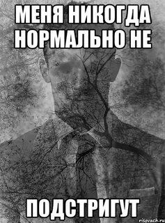 Никогда нормально