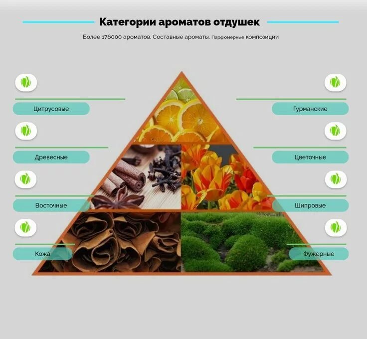 Пирамида туалетной воды. Ольфакторная пирамида аромата. Пирамида парфюмерной композиции. Пирамида композиции духов. Пирамида нот в парфюмерии.