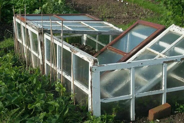 Как сделать теплицу своими руками в домашних DIY Cold Frame Raised Bed with this How-to Bonnie Plants Cold frame gardening, C