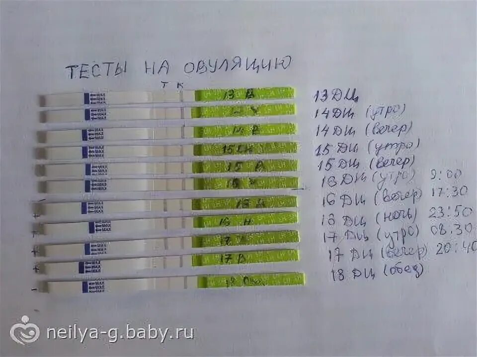 Тест на овуляцию. Тест на беременность вечером. Тест на беременность сделать вечером. Тест на овуляцию и беременность. Зачем делать тест