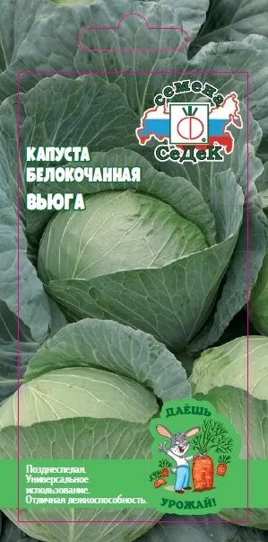 Капуста вьюга описание сорта. Семена капуста белокочанная вьюга СЕДЕК. Капуста б/к вьюга. Сорт капусты вьюга. Капуста вьюга описание.