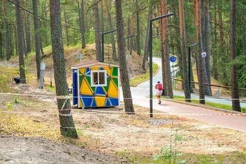 Приморский сосновый бор
