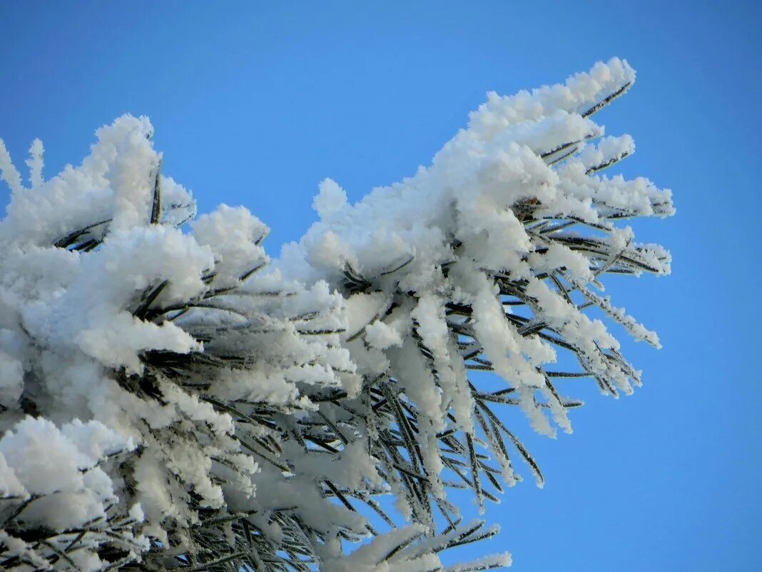 ледяные скульптуры. снежинки в воздухе. ангел на снегу. ангел на снегу. зимняя фотосессия с крыльями.