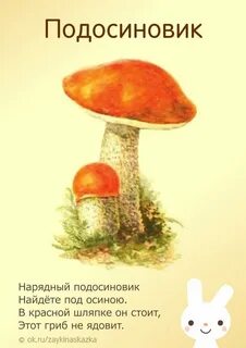 Стихи про грибы короткие