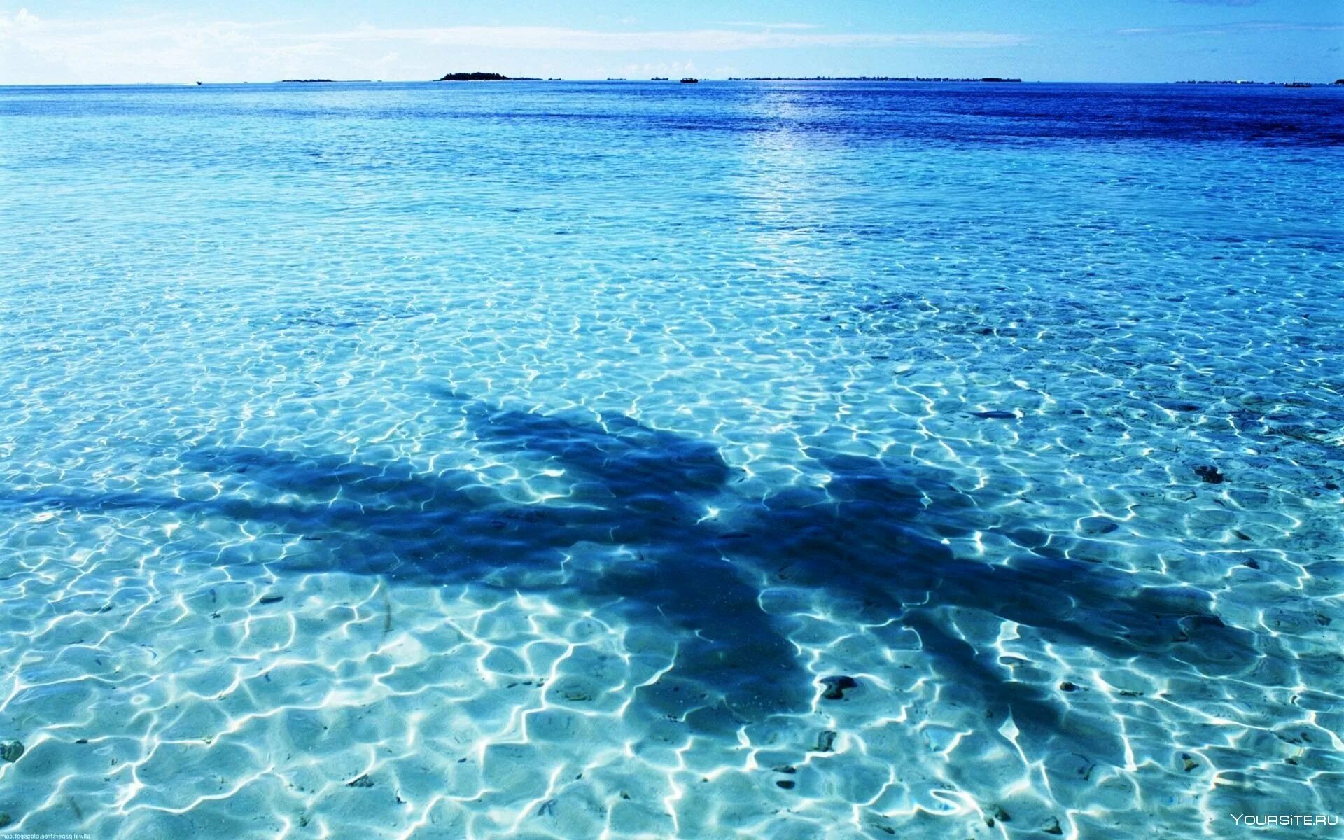 Океан голубая вода. Лазурь черного моря. Прозрачное море. Голубое море. Море вода.