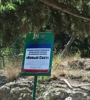 Протяженность тропы голицыно