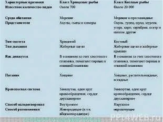 Характеристика классов рыб таблица 7 класс. Сравнительная характеристика классов рыб хрящевые и костные. Сравнительная характеристика хрящевых рыб таблица 7 класс. Сравнительная характеристика класс хрящевые и костные рыбы. Таблица сравнительная характеристика класса костные рыбы.