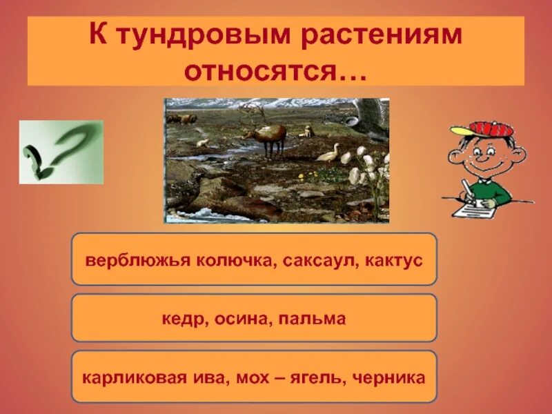 Установите соответствие между растениями и животными саксаул. Установите соответствие между растениями и животными саксаул