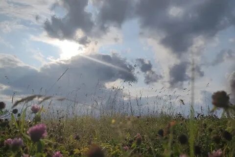 Погода в тамбове осадки
