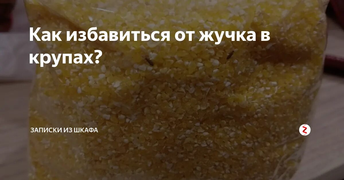 Средство от жучков в крупе. Чёрные мелкие букашки в крупе. Микроскопические жучки в крупе. Средство от крупяных жучков на кухне. Почему в крупе заводятся