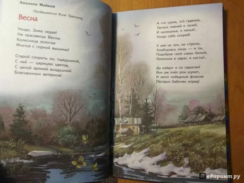 Стихи поэтов о весне и любви. Стихи поэтов о весне и любви