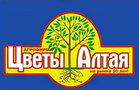 Мы с алтая цветочный магазин телеграмм