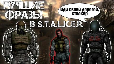 Фразы из сталкера тень чернобыля