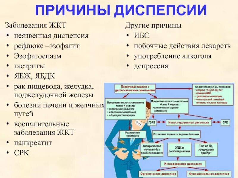 Как наладить жкт у взрослого