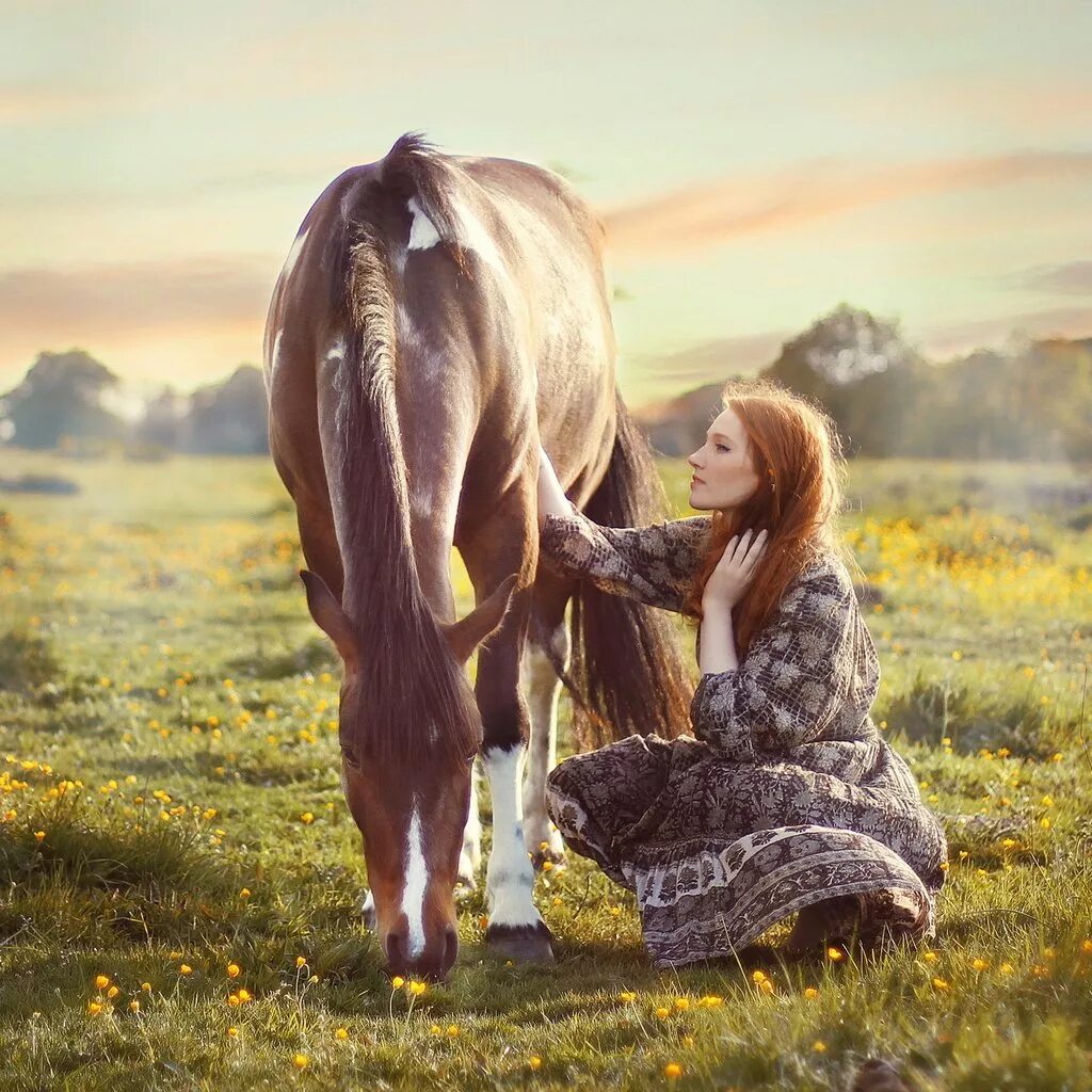 Девушки полу лошади. Девочка на лошади. Женщина на лошади в поле. Классная природа девушки животные. Девушка на лошади в горах.