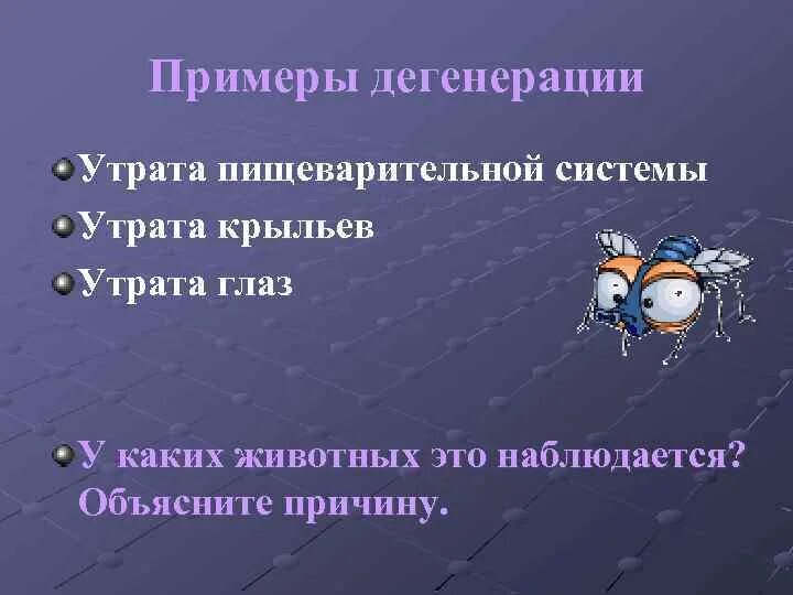 Примерами дегенерации являются. Дегенерация примеры. Общая дегенерация примеры. Примеры дегенерации у животных примеры. Примеры общей дегенерации в биологии.