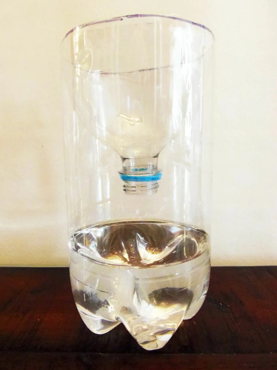 ловушки для мух из пластиковых бутылок. ловушки для мух из пластиковых бутылок. мухоловка ловушка для мух. ловушка для мух из бутылки. ловушка для дрозофил из бутылки.