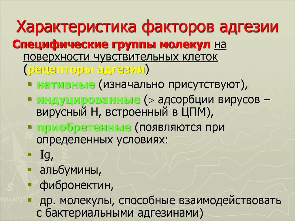 Фактор специфичности. Характеристика факторов. Факторы адгезии. Специфические группы. Группы молекул адгезии.