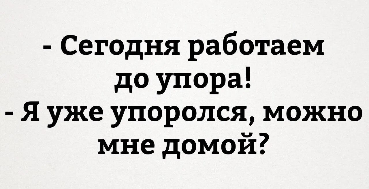 Можно я пойду домой. Сегодня работаем до упора я уже. Сегодня работаем до упора я уже упоролся можно мне домой. Сегодня работаем до упора. Сегодня работаем до упора картинка.