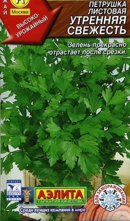 Петрушка утром. Аэлита петрушка листовая утренняя свежесть. Петрушка листовая бутербродная аэлита. Петрушка кориандр кинза. Петрушка утром.