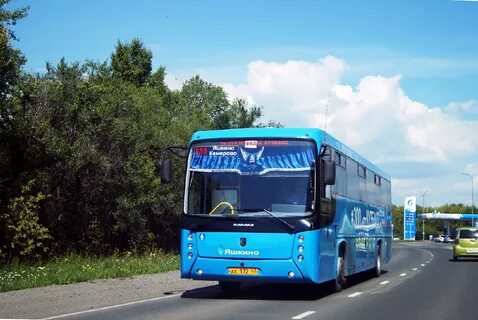 Автобусы яшкино